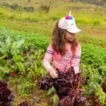 Projeto Jataí – A cultura rural e os saberes do campo nos caminhos da aprendizagem – Morungaba-SP