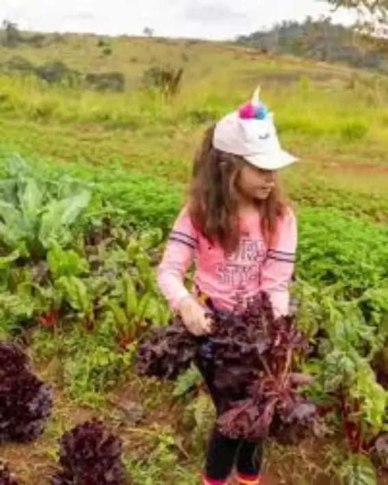 Projeto Jataí – A cultura rural e os saberes do campo nos caminhos da aprendizagem – Morungaba-SP