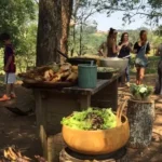Projeto Jataí – A cultura rural e os saberes do campo nos caminhos da aprendizagem – Morungaba-SP