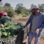Projeto Jataí – A cultura rural e os saberes do campo nos caminhos da aprendizagem – Morungaba-SP