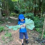 Recanto de Atividades – Itapira - SP
