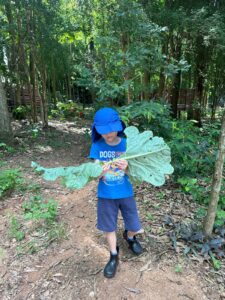 Recanto de Atividades – Itapira - SP